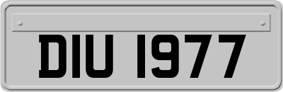 DIU1977