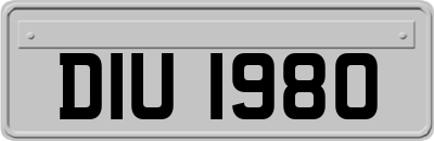 DIU1980