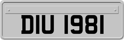 DIU1981