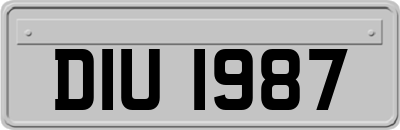 DIU1987