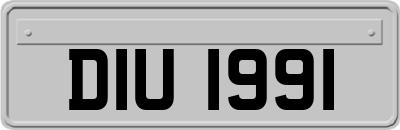 DIU1991