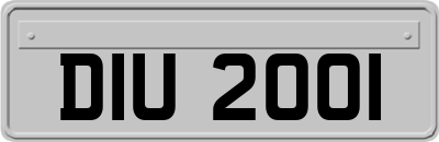 DIU2001