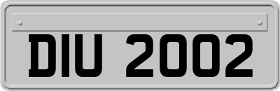 DIU2002