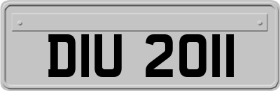 DIU2011
