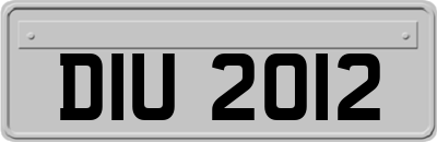 DIU2012