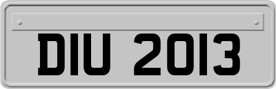 DIU2013