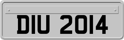 DIU2014