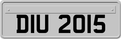 DIU2015