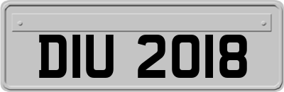 DIU2018