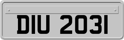 DIU2031