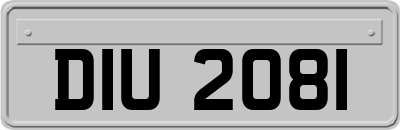 DIU2081