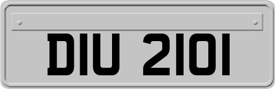 DIU2101