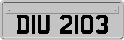 DIU2103
