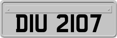 DIU2107