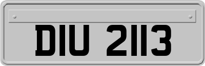 DIU2113