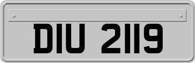 DIU2119