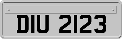 DIU2123