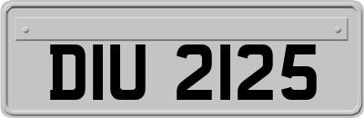 DIU2125