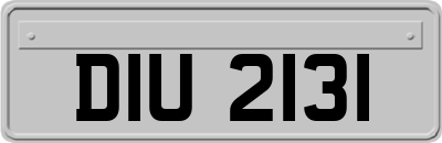 DIU2131