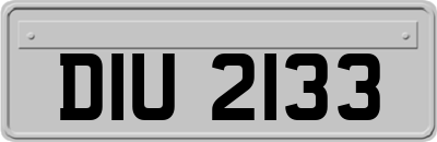 DIU2133