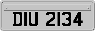 DIU2134