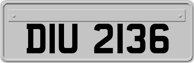 DIU2136