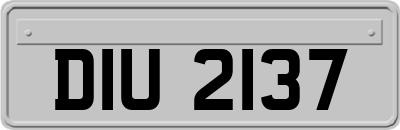 DIU2137