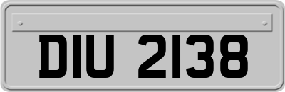 DIU2138