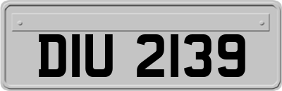 DIU2139