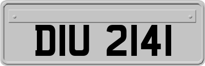 DIU2141