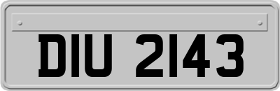 DIU2143