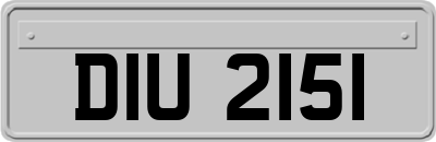 DIU2151