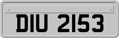 DIU2153