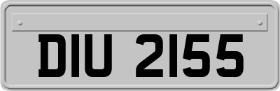DIU2155