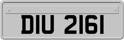 DIU2161
