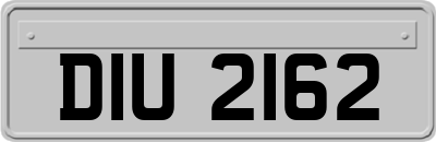 DIU2162