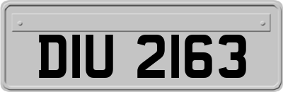 DIU2163