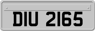 DIU2165