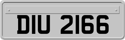 DIU2166