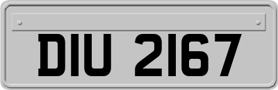 DIU2167
