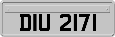 DIU2171