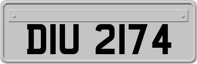 DIU2174