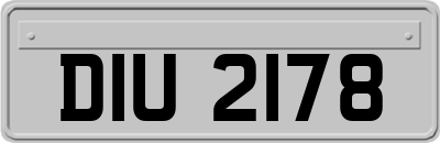 DIU2178