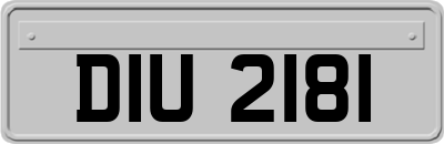 DIU2181