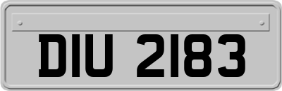 DIU2183