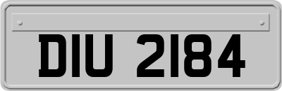 DIU2184