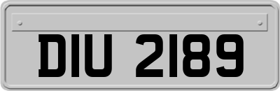 DIU2189
