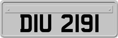 DIU2191