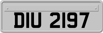 DIU2197