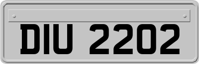 DIU2202